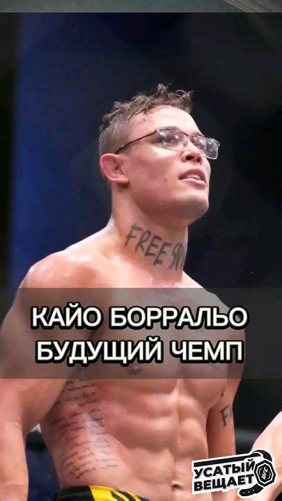#box #mma #fightnight #ufc #мма #sport #юфс #бой #бои #спорт - YouTube