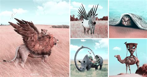 Here’s How I Imagine Animals Behave When You Aren’t Looking (20 Pics ...