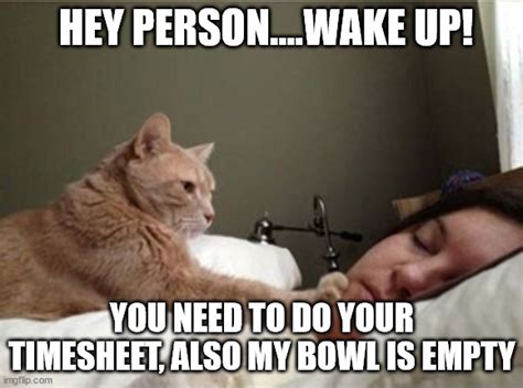 Wake Up Do your timesheet - Imgflip
