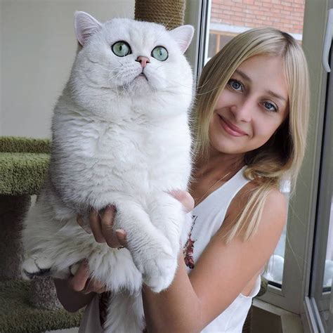 This cat is HUGE!!!