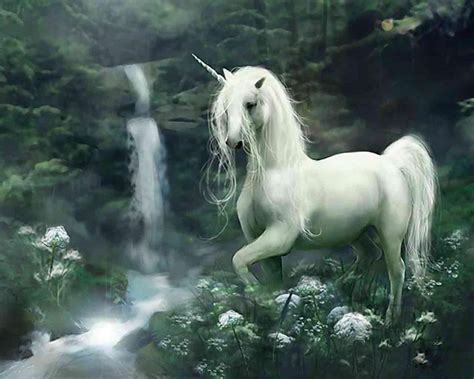 unicornio | Imagenes de unicornios, Criaturas míticas, Criaturas ...
