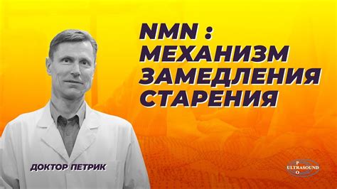 NMN: механизмы замедления старения. - YouTube