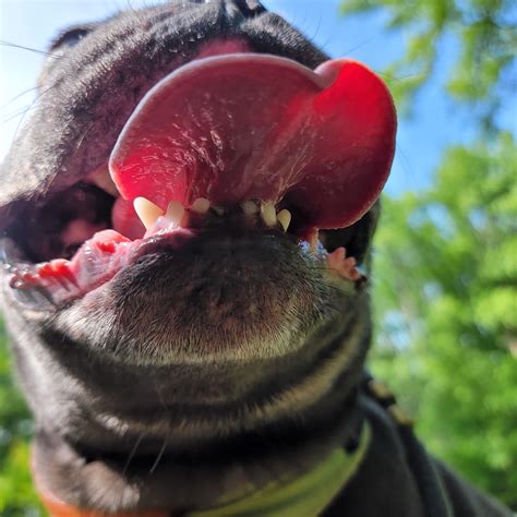 Vanessa del Rio / Ana M Sanchez (@miz_vanessadelrio) • Instagram photos