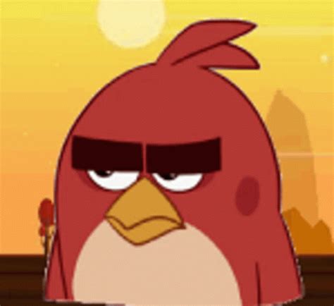 angry birds bomb  matilda kiss