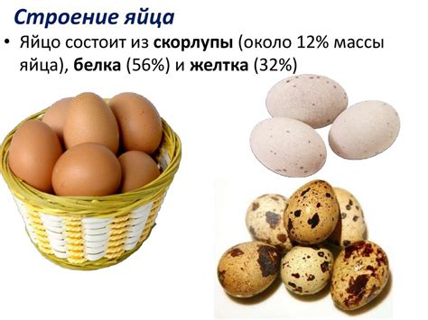 Яйца и яичные продукты - презентация онлайн