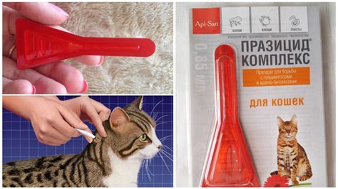 Глистогонные препараты для кошек и котят