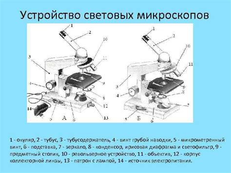 Микроскопия Возникновение микробиологии и ранние этапы ее
