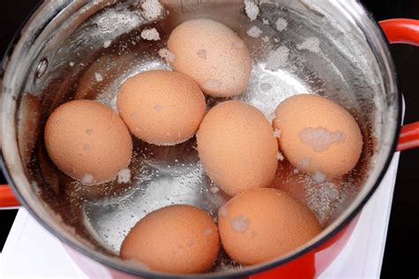 Сколько надо варить яйца: способы варки яиц и легкая очистка