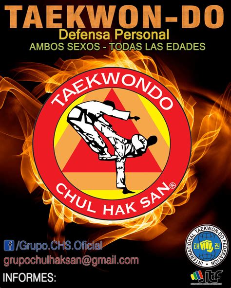 Banner Taekwondo CHS by NickyKirei on DeviantArt