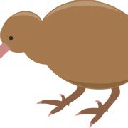 Kiwi Bird PNG Background - PNG All