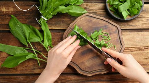 What Is Sorrel And What Is It Used For?
