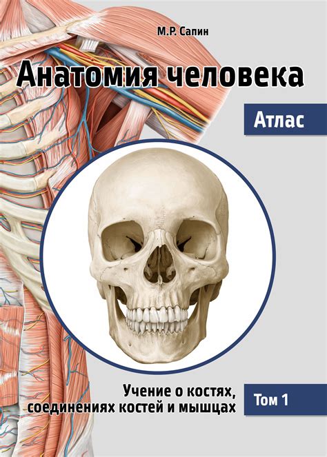 «Анатомия человека. Атлас. Том 1. Учение о костях, соединениях костей и ...