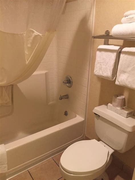 flagstaff hotels that allow pets 3