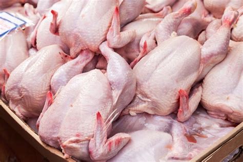 Птицеводы повысили цены на свою продукцию – АГРАРИЙ