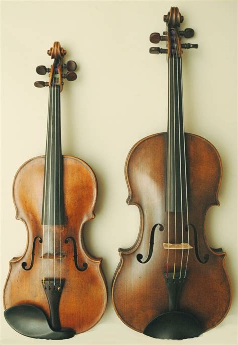 Viola - Wikipedia