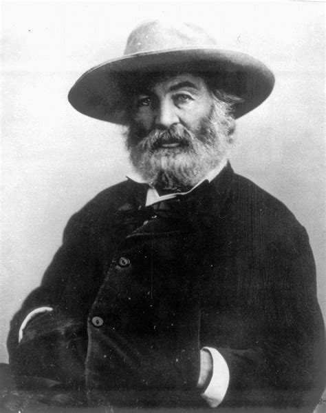 How Walt Whitman Became A Gay Icon | WNYC | New York Public Radio