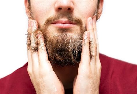 How Often Should I Wash My BEARD? — Beard Style