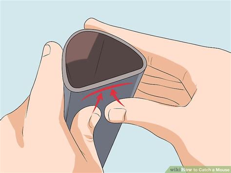 How to Catch a Mouse (with Pictures) - wikiHow