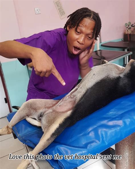 Bruno Project St Lucia | Castries