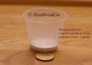 Памятка цветовода на FloralWorld.ru