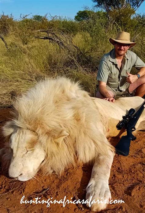 African white lion hunting safari packages South Africa