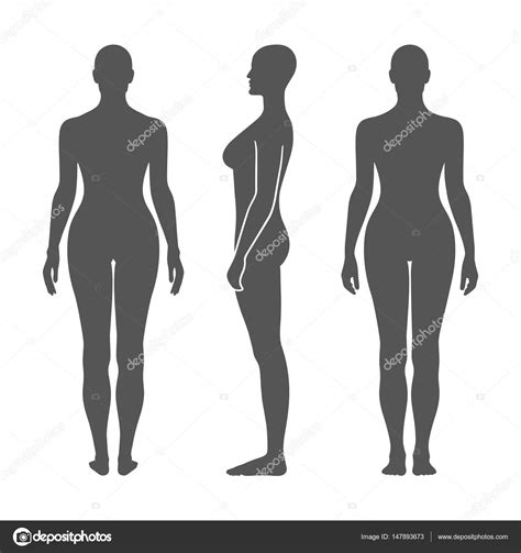 Naked standing woman silhouette Stock Vector Image by ©arlatis #147893673