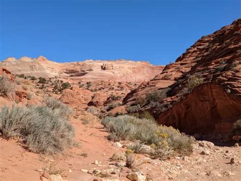 Best Hikes and Trails in Vermilion Cliffs National Monument | AllTrails