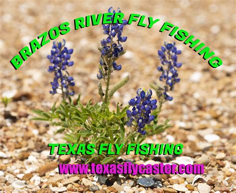 Brazos River Fly Fishing - Texas Fly Fishing & Wholistic Outdoor Life