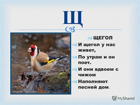 Презентация на тему: "АЗБУКА ЗВЕРЕЙ И ПТИЦ. А АИСТ Аист свил гнездо на ...
