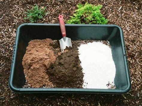 potting soil diy potting soil plant instructions