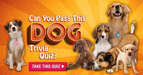 Can You Pass This Dog Trivia Quiz?