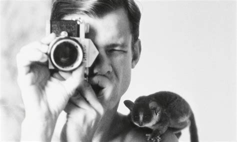 peter beard net worth 2020