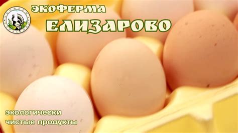 Экоферма Елизарово - YouTube
