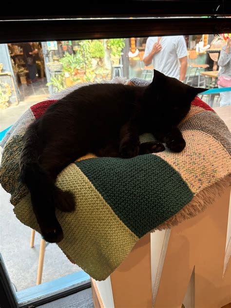 Oakview Lodge Care Home added a... - Oakview Lodge Care Home