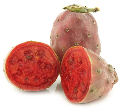 Prickly Pear Extract (Opuntia ficus indica)