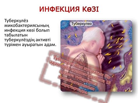 Туберкулез. Симптомдар. Туберкулездің профилактикасы мен диагностикасы ...