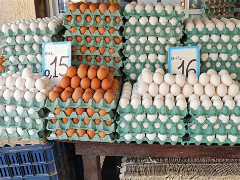 eggs farmers market   royalty  stock