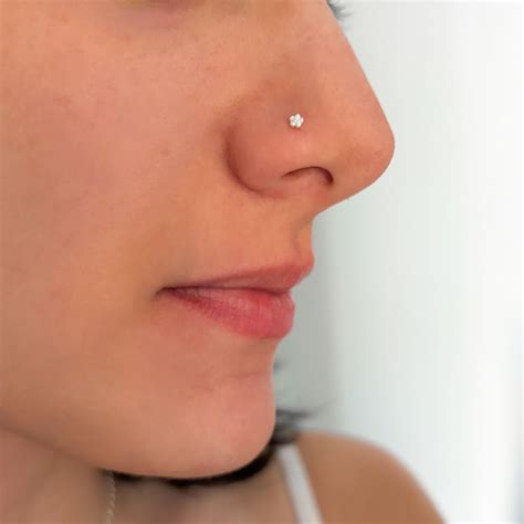 Quanto Custa Para Colocar Um Piercing No Nariz - Tipos De Piercings No Nariz Piercing Nariz Ponto De Luz Pedrinha