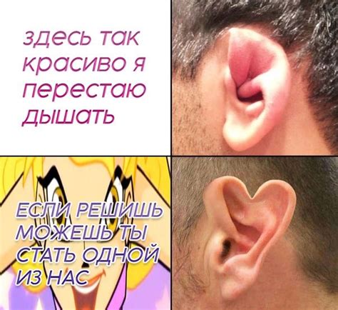 Pin on Мемы | Memes, Jokes, Funny