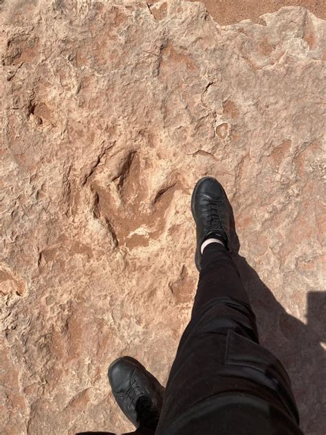 Theropod/ Dilophosaurus Footprint in Utah : Naturewasmetal