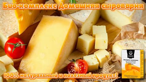 Приготовление закваски для сыра. - YouTube