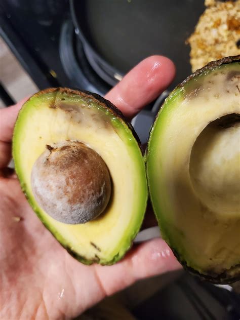 Is this avocado spoiled or bruised? : r/foodsafety