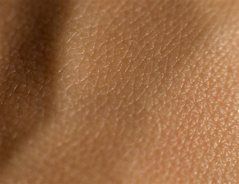 combination skin type      prequel