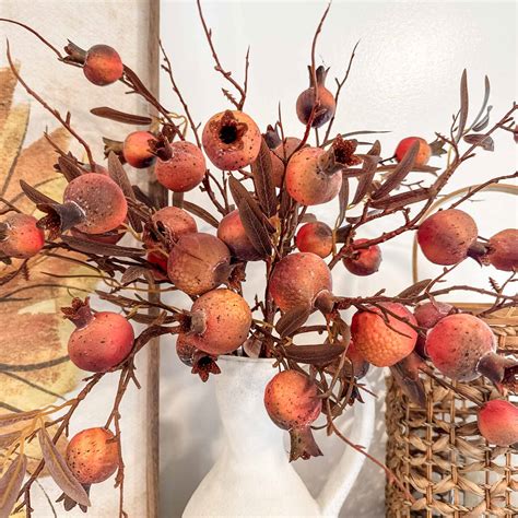 New seasonal arrivals will soon expand the reach of de dana worldwide 25