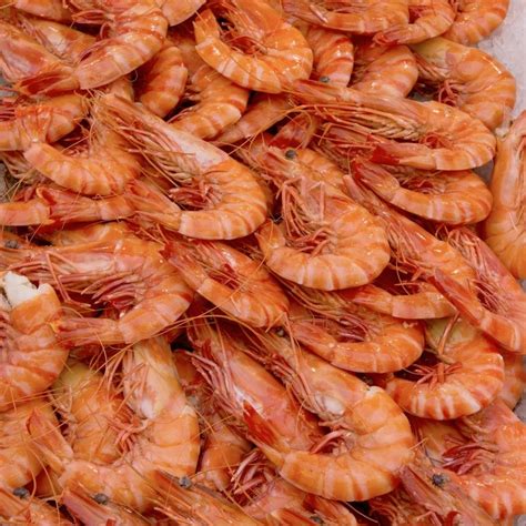 Prawns – Low-Sal Life