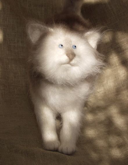добрый кот