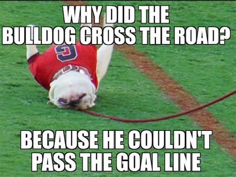 The best Georgia football memes heading into the 2020 season - Saturday ...