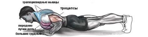 Отжимания узким хватом для прокачки трицепсов