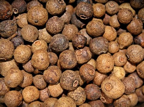 Allspice - The Recipe Website