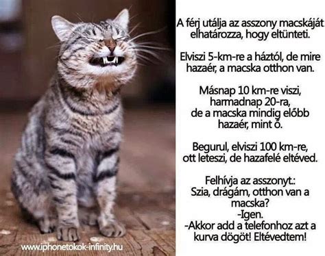 133 best Magyar viccek! Hungarian jokes! images on Pinterest | Funny ...